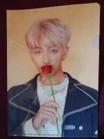 BTS RM Persona Clear File Rheinland-Pfalz - Landkern Vorschau