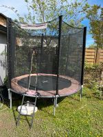 Trampolin Ultrasport Jumper 251cm Durchmesser mit Leiter Nordrhein-Westfalen - Hürth Vorschau