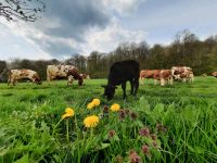 Ferienwohnung im Harz/Südharz/Bauernhof Niedersachsen - Walkenried Vorschau