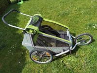 Croozer Kid for 2 Fahrradanhänger Sachsen - Pirna Vorschau