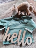 Pullover Alana 68 Baby Junge Mädchen Rheinland-Pfalz - Nickenich Vorschau