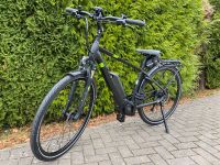 Pegasus Solero E9 Sport CX, E-Bike City/Trekking, 28 Zoll Baden-Württemberg - Mosbach Vorschau