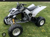 Suche Yamaha Raptor yfm 660, 700, 350 usw kawasaki Oder ähnliche Rheinland-Pfalz - Simmern Vorschau