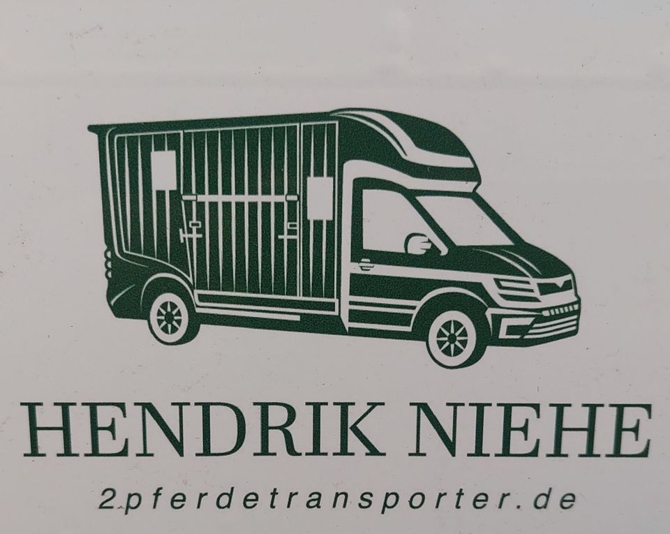 Pferdetransporter STX Horsebox Opel 3,5 t gebraucht, 5-Sitzer in Großderschau