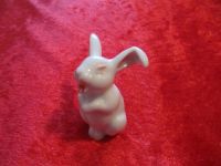 Rosenthal Porzellan Figur Hase alt lachend Classic Rose 5 cm Niedersachsen - Hoya Vorschau