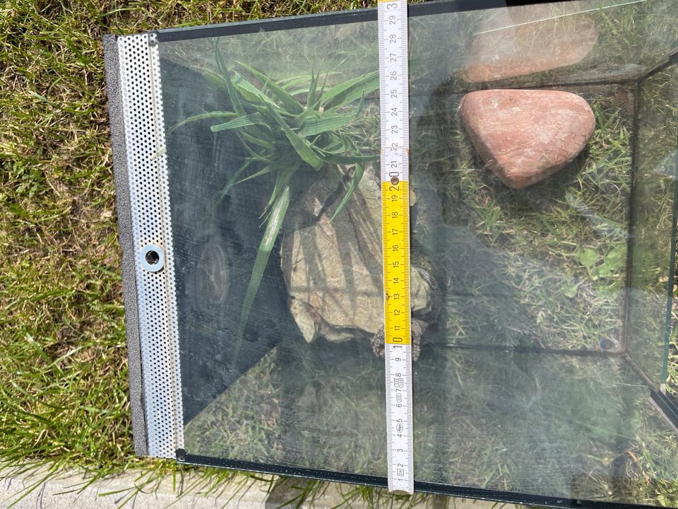 Terrarium mit Zubehör abzugeben in Viersen