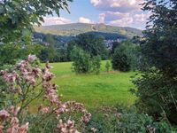 Ein wahres Juwel - weitläufiges Freizeitgrundstück mit traumhaftem Blick auf den Silberberg in Bodenmais Bayern - Bodenmais Vorschau