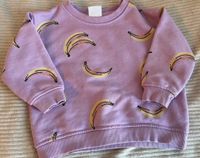 SUCHE Zara Sweater Pulli Baby Kleinkind Bananen Rheinland-Pfalz - Treis-Karden Vorschau