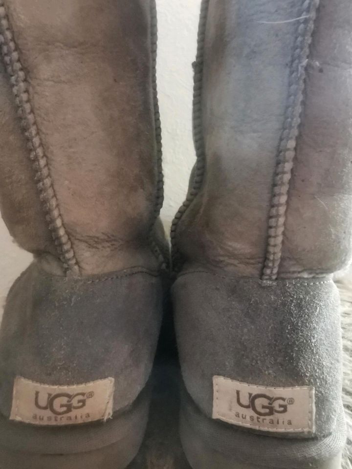 Ugg grau, 39 in Horn-Bad Meinberg