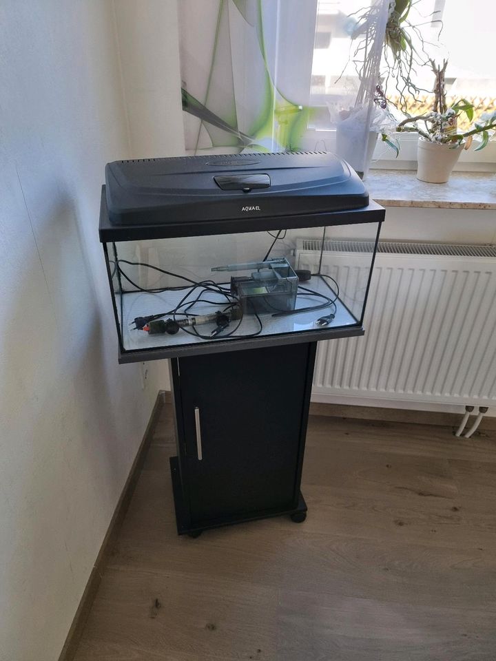 60 Liter Aquarium mit Zubehör in Fuldatal