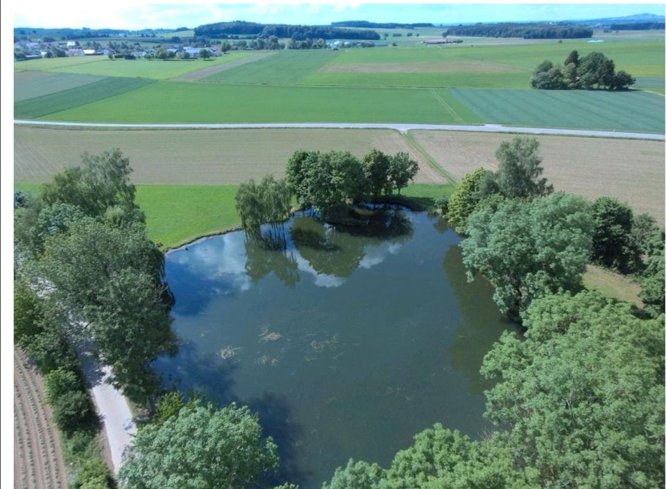 Suche See / Fluss Stück / Gewässer zum pachten oder kaufen in Baden