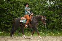 Western Show Outfit Set Jacke Blanket Fliegenhaube Baden-Württemberg - Möglingen  Vorschau