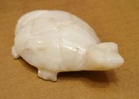 Schildkröte aus Mexiko Onyx Ca. 10 cm lang Niedersachsen - Stade Vorschau