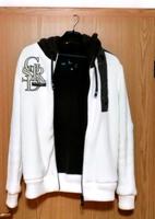 Herren Jacke Sachsen - Bautzen Vorschau