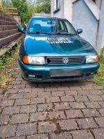 VW Polo classic Rheinland-Pfalz - Konken Vorschau