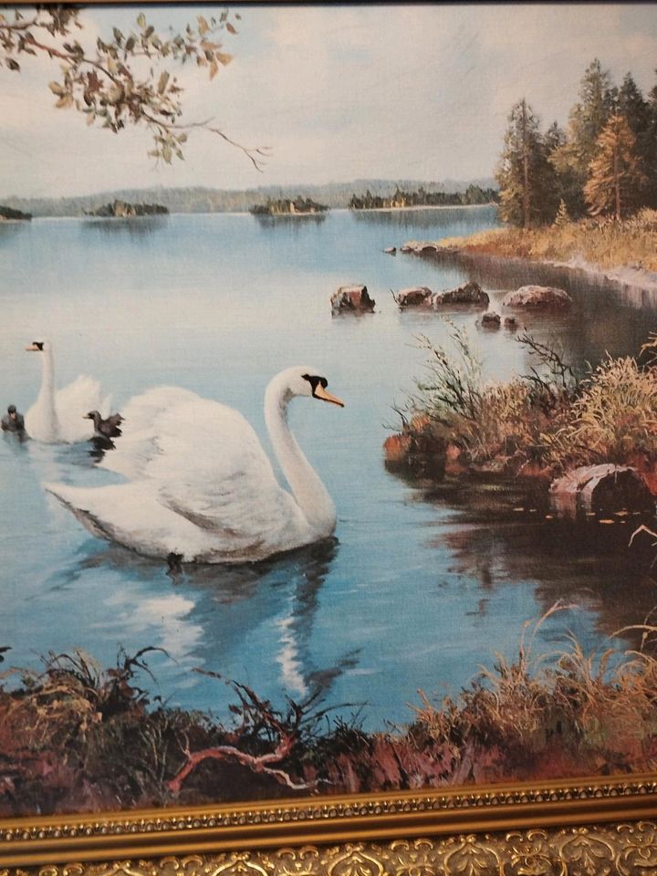 Schönes altes Bild mit Rahmen Schwäne im Wasser signiert N. Gero in Aichach