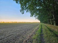 Spaziergang mit Hund(en) Sachsen - Rothenburg Vorschau