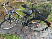 Zwei Fahrräder Nordrhein-Westfalen - Hille Vorschau