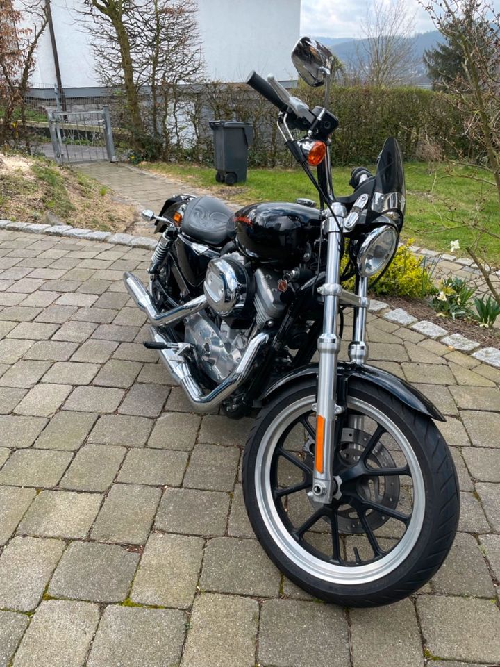 Harley Davidson Sportster 883 XL SuperLow in Arnsberg