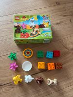 Lego Duplo Haustiere 10838 Niedersachsen - Salzhausen Vorschau