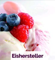 Eisherstellung / Eishersteller GESUCHT Thüringen - Waltershausen Vorschau