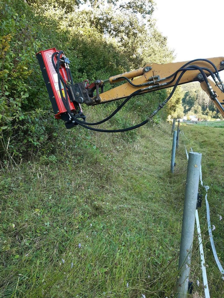 Rüttelplatte BOMAG 75kg Baumaschinenverleih Mietgeräte in Bad Driburg