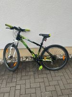 Mountainbike Giant Modell Revel 26 Sachsen - Triebel Vorschau