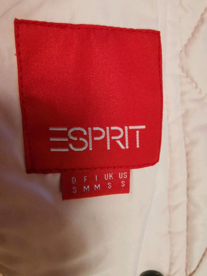 Esprit Daunenjacke wie neu Damenjacke Jacke Daunen 36 S in Ramstein-Miesenbach