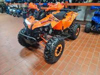 Kinderquad 125cc midi Kinder Quad Warrior GS 3G8 Sport Rheinland-Pfalz - Bad Breisig  Vorschau