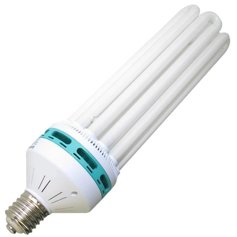 Energiesparlampe ESL Blüte 250watt elektrox in Waiblingen