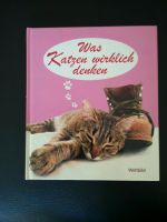 Katzen-Buch Nordrhein-Westfalen - Willich Vorschau