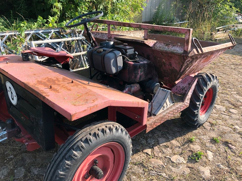 Dumper Thwaites Nimbus Lister Petter MotorjapanerDiesel Oldtimer in Weferlingen