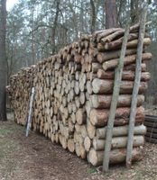 24 Raummeter trockenes Brennholz, Kiefern-Meterholz Ofenholz Brandenburg - Bad Belzig Vorschau