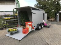 Debon C500 XL neues Modell!!! Nordrhein-Westfalen - Bergheim Vorschau