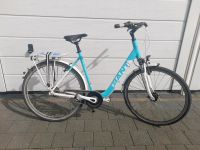 Damenrad Giant Tourer 28 Zoll Nordrhein-Westfalen - Bergkamen Vorschau