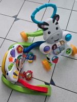 Lauflernhilfe und musikalisches Spielzeug Baby Nordrhein-Westfalen - Merzenich Vorschau