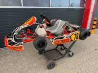 Rennkart Kali Kart 100ccm Schleswig-Holstein - Kaltenkirchen Vorschau