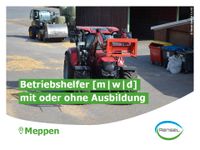 ☀️ Betriebshelfer [m|w|d] für die Landwirtschaft ☀️ Niedersachsen - Meppen Vorschau