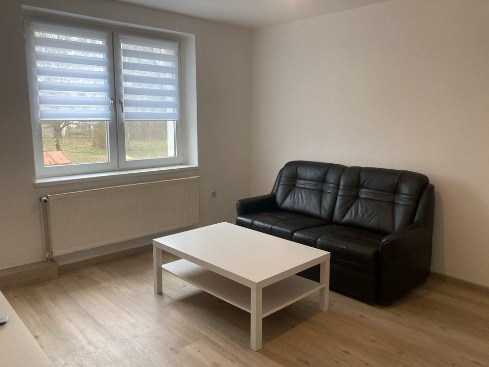 33pm Wohnung Möbliert zu Vermieten in Zülow
