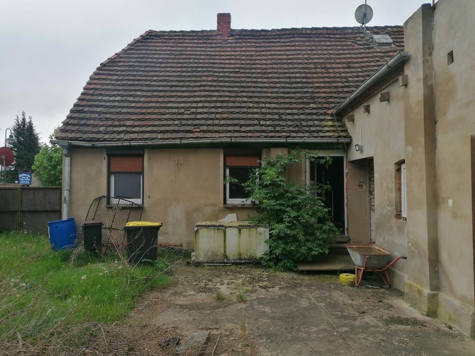 Nur zur Vermietung! Einfamilienhaus in Zölkow (Handwerkerobjekt) in Zölkow