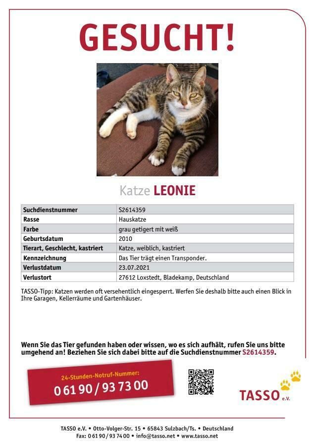 Katze Leonie verschwunden in Loxstedt