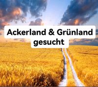 Suche Ackerland & Grünland zum Kauf im Umkreis von Twistringen Niedersachsen - Twistringen Vorschau