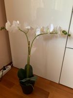 Große Kunstblume Kunstpflanze Kunst Orchidee Textil weiss NEU Düsseldorf - Eller Vorschau