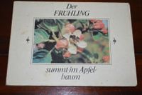 Buch/Pappbuch "Der Frühling summt im Apfelbaum" Güstrow - Landkreis - Güstrow Vorschau