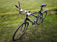 Fahrrad, Herrenrad, Trekking Fahrrad Schleswig-Holstein - Achtrup Vorschau