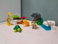 Lego Duplo Tierbabys Hessen - Kassel Vorschau