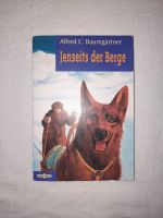 Alfred C. Baumgärtner - Jenseits der Berge Niedersachsen - Winsen (Luhe) Vorschau