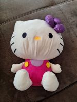 Hello Kitty Plüschtier 25cm Baden-Württemberg - Titisee-Neustadt Vorschau