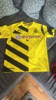 BVB Trikot Größe L Schleswig-Holstein - Krempe Vorschau