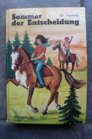 Ch. Sonntag, Sommer der Entscheidung Kreis Pinneberg - Appen Vorschau